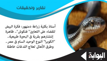 أستاذ بكلية زراعة دمنهور: فكرة البيض للقضاء على الثعابين "فنكوش".. ظاهرة انتشارهم بقرية في البحيرة طبيعية.. "الكوبرا" النوع الوحيد السام في مصر.. وطرق الأهالي لعلاج اللدغات خاطئة