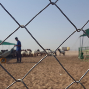 تجارب عربية مهمة لتنقية المحتوى العربي من الشائعات والأخبار المغلوطة