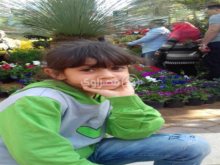 «ثعبان في حمام السباحة».. وفاة طفلة غرقًا في العين السخنة والأسرة تتهم «القرية» بالإهمال