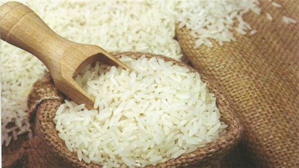 الزراعة: قرار 'السيسي' باستيراد الأرز الشعير ضرب المحتكرين في مقتل
