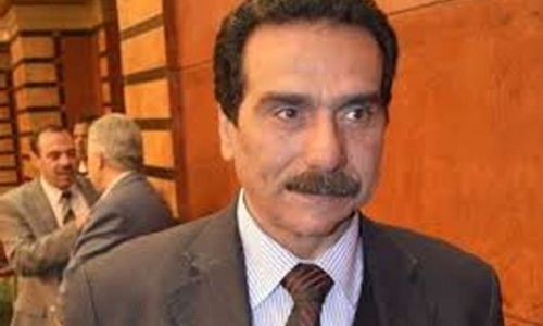فقيه دستوري: منح الجنسية المصرية للأجانب انتهاك صريح للدستور