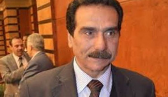 فقيه دستوري: منح الجنسية المصرية للأجانب انتهاك صريح للدستور