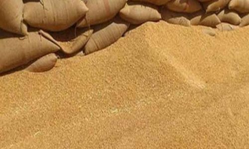 مصر توافق على شراء 120 ألف طن من القمح