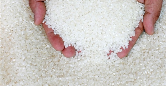 3 طرق للكشف عن صلاحية الأرز