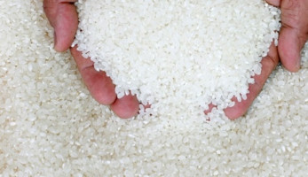 3 طرق للكشف عن صلاحية الأرز