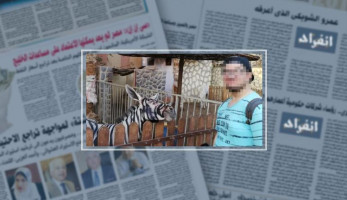 "حكاية حمار خدع الشطار".. رواد مواقع التواصل الاجتماعى يتداولون صورة لحمار وحشى بالحديقة الدولية.. ويؤكدون: "بلدى ومدهون".. ومحافظة القاهرة ترد: "الحمار حقيقى".. وكشف دورى للاطمئنان على الحيوانات