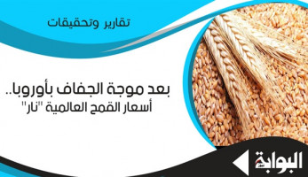 بعد موجة الجفاف بأوروبا.. أسعار القمح العالمية "نار".. و"التموين" تضطر لدفع السعر الأعلى مُنذ 2015.. وصيام: المخزون الاستراتيجي وأبحاث الأصناف الحل الأمثل.. والخطيب: ستؤثرعلى أسعار شحنتين أو ثلاثة