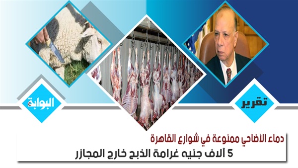 دماء الأضاحي ممنوعة في شوارع القاهرة.. 5 آلاف جنيه غرامة الذبح خارج المجازر.. جدل حول قرار المحافظة.. معارضون: "عايزين أماكن بديلة".. وخبير بيطري: يجب حصول الجزار على شهادة صحية لتجنب العدوى