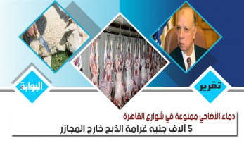 دماء الأضاحي ممنوعة في شوارع القاهرة.. 5 آلاف جنيه غرامة الذبح خارج المجازر.. جدل حول قرار المحافظة.. معارضون: "عايزين أماكن بديلة".. وخبير بيطري: يجب حصول الجزار على شهادة صحية لتجنب العدوى