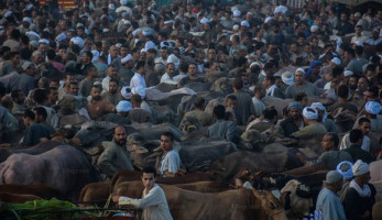قبل عيد الأضحى.. تجار سوق 'المناشي' يرفعون شعار 'الغالي يرخصلك' (صور)