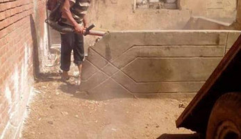 بعد ظهورها بالغربية.. تعرف على "قرادة الكلاب" ومخاطرها على الإنسان