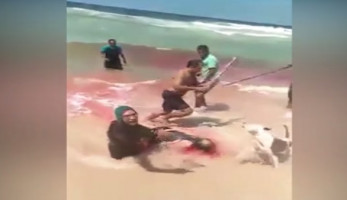 مات دون عرضه .. نقاش يفقد حياته دفاعا عن زوجته بالإسكندرية