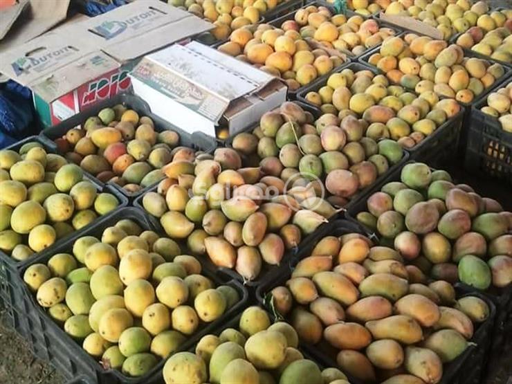 "الغرف التجارية": الفاكهة أصبحت سلعة ترفيهية لكثير من المواطنين- فيديو