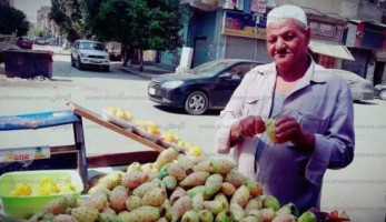 "عائل أبنائي الـ10".. عم صلاح: "وراء الشوك يستخبى العسل"