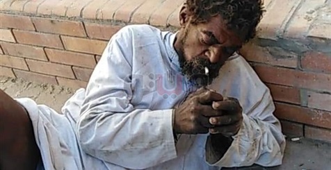مشرد تنهشه الكلاب بعد رفض مستشفى بالإسكندرية استقباله (فيديو)