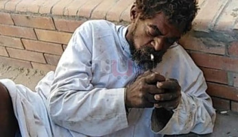 مشرد تنهشه الكلاب بعد رفض مستشفى بالإسكندرية استقباله (فيديو)