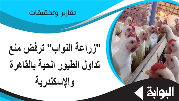 "زراعة النواب" ترفض منع تداول الطيور الحية بالقاهرة والإسكندرية.. "غطاطي": يصب في مصلحة شركات بعينها.."تمراز": المبررات غير منطقية.. و"سعد": الأنفلونزا سببها تربية المنازل وليس المزارع