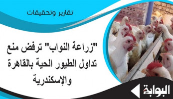 "زراعة النواب" ترفض منع تداول الطيور الحية بالقاهرة والإسكندرية.. "غطاطي": يصب في مصلحة شركات بعينها.."تمراز": المبررات غير منطقية.. و"سعد": الأنفلونزا سببها تربية المنازل وليس المزارع