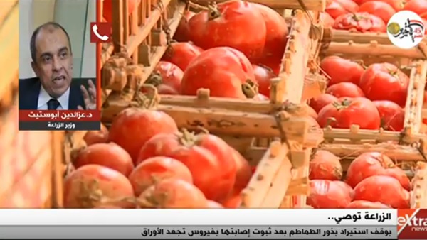 وزير الزراعة عن أزمة الطماطم: 'قمنا بدورنا.. وعلى الفلاحين اللجوء للقضاء' (فيديو)