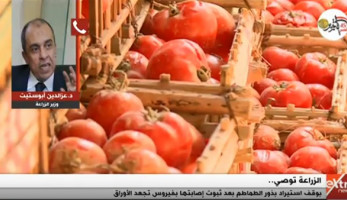 وزير الزراعة عن أزمة الطماطم: 'قمنا بدورنا.. وعلى الفلاحين اللجوء للقضاء' (فيديو)