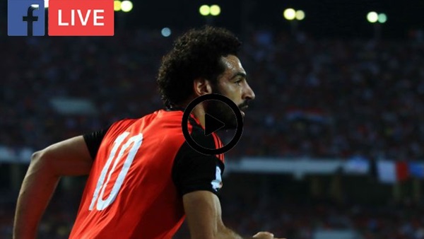 تعرف على المتأهلين إلى نهائيات كأس أمم إفريقيا 2019