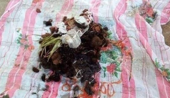 العثور على أعمال سحر وشعوذة داخل مقابر بالمحلة الكبرى (صور)