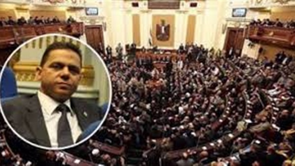 برلماني عن إعفاء 100 ألف طن دواجن من الجمارك: 'قرار صائب ولدينا عجز'