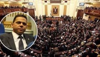 برلماني عن إعفاء 100 ألف طن دواجن من الجمارك: 'قرار صائب ولدينا عجز'