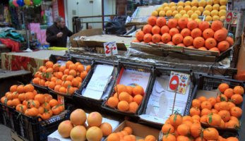 استقرار أسعار الفاكهة اليوم الخميس 1 نوفمبر