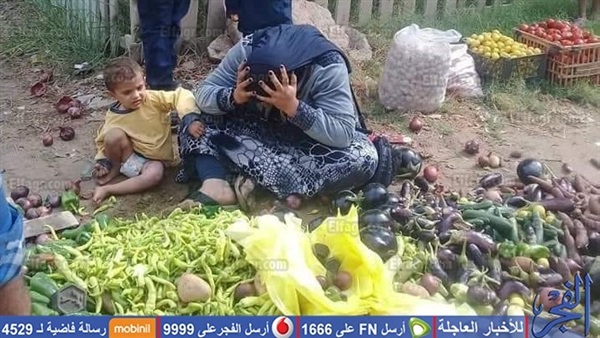 عاجل.. أول رد فعل من محافظ دمياط بشأن واقعة 'بائعة الخضار'