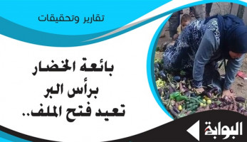 بائعة الخضار برأس البر تعيد فتح الملف.. الباعة الجائلون مشكلة مزمنة تنتظر الحلول.. خبراء: تستخدم بالخارج كوسيلة لزيادة التجارة وجذب السياح.. والمنظومة خاطئة ويجب تطويرها