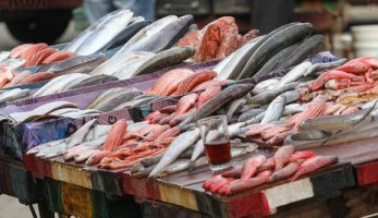 المكرونة السويسى  تتراجع 5 جنيها اليوم الأربعاء  7-11 2018