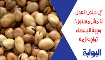 "إن خلص الفول أنا مش مسئول".. وجبة البسطاء تواجه أزمة.. "التموين" تتفاوض مع الموردين بعد اختفائه.. وخبير: ليس لدينا سياسة زراعية واضحة بشأن المحاصيل البقولية