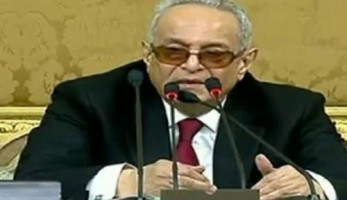 أبو شقة: لا وجود لتدخل حكومي في  شؤون الوفد.. وما يتردد أكاذيب وخيالات