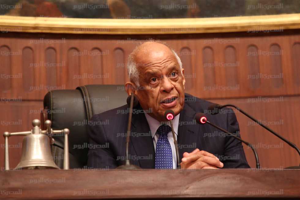 «نواب» يهاجمون الحكومة: «فواتير كهرباء خاطئة وتعديات على الأراضي وملاعب كرة مخالفة»