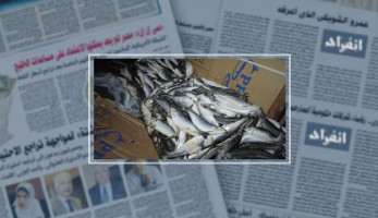النيابة تطلب تقرير الصحة فى واقعة ضبط 1.5 طن أسماك فاسدة بمطعم شهير