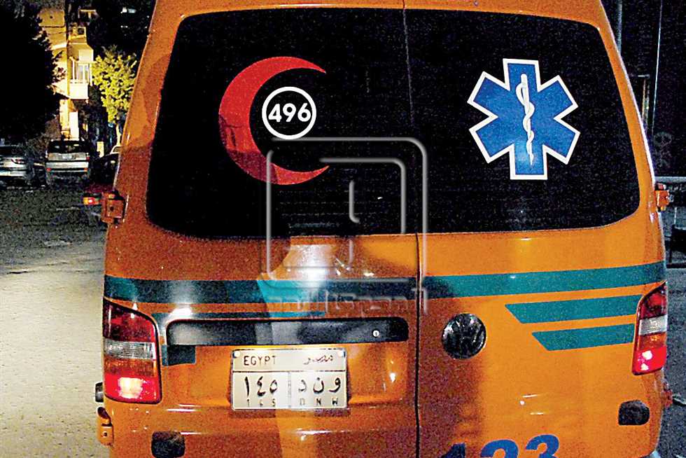 الجريمة بشعة والسبب تافه.. عامل وعاطل يطعنان بعضهما في طوخ (تفاصيل)
