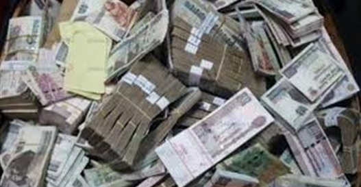 الرقابة الإدارية تضبط صاحبة شركة استولت على ٢٥ مليون جنيه من أحد البنوك