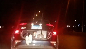 بالفيديو| قائد سيارة يعرض حياة طفلين للخطر على طريق الواحات: "كومهم في الشنطة"