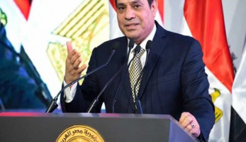نافع هيكل: برنامج الإصلاح الاقتصادى انتهى بنسبة 85 %