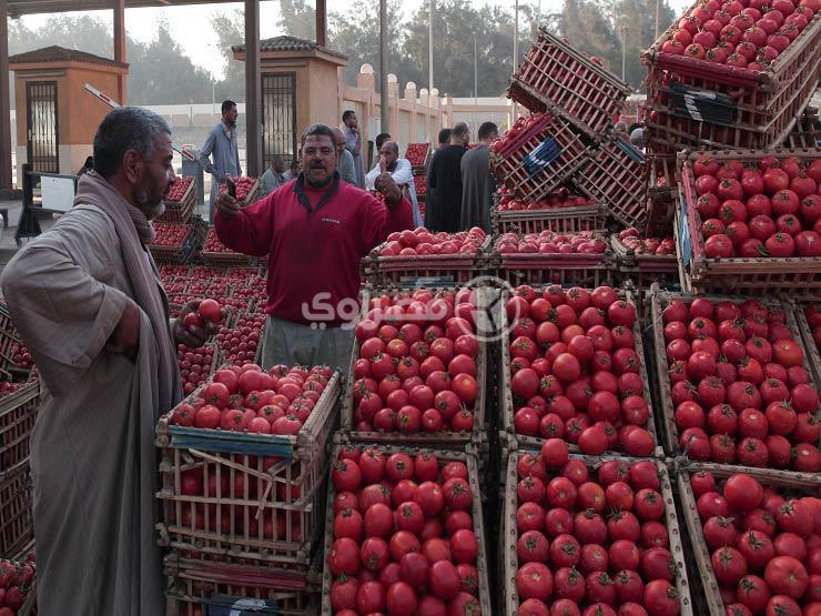 الخضروات والأرز يقودان معدل التضخم الشهري إلى الارتفاع في يناير