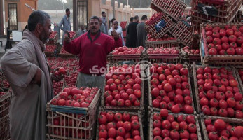الخضروات والأرز يقودان معدل التضخم الشهري إلى الارتفاع في يناير