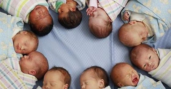 التضامن: الصعيد مسئول عن 45% من المواليد الجدد.. فيديو