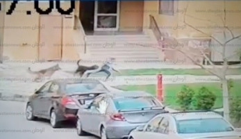 عمرو أديب عن هجوم كلبين على طفل بـ"مدينتي": "لازم يتقتلوا"