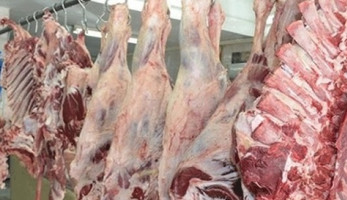 التعاقد مع «الخدمة الوطنية» لإقامة شوادر لبيع اللحوم في المحافظات