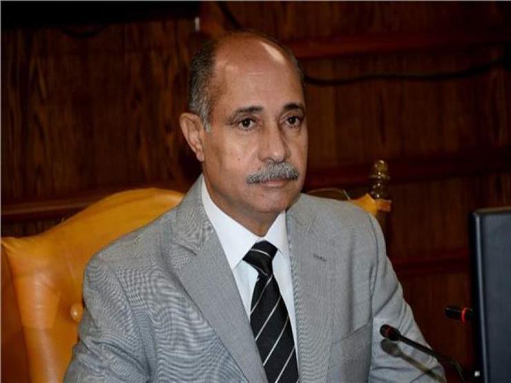 وزير الطيران: آلية ومنهجية عمل موحدة لجميع شركات البالون