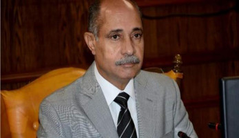 وزير الطيران: آلية ومنهجية عمل موحدة لجميع شركات البالون