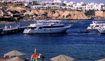 مجدي صادق: 4 أسباب وضعت مصر كواجهة أسرع نموا في شمال أفريقيا