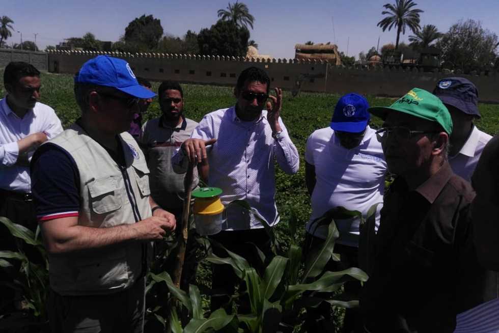 الزراعة تعلن الطوارئ القصوى لمنع دخول «الحشرة الفتاكة»