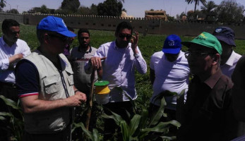 الزراعة تعلن الطوارئ القصوى لمنع دخول «الحشرة الفتاكة»